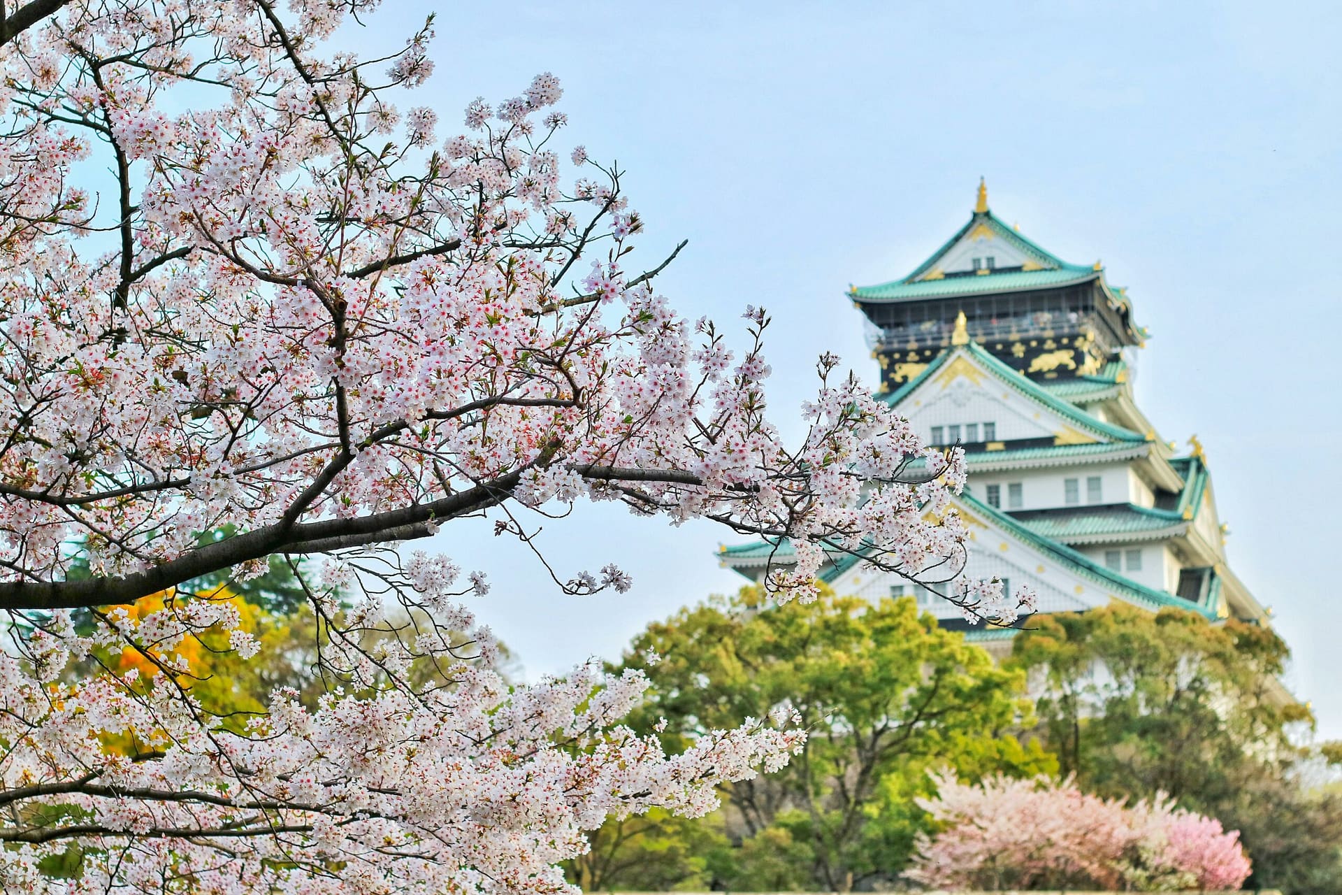 Voyage de noces au Japon : 10 lieux incontournables pour un séjour inoubliable + témoignage